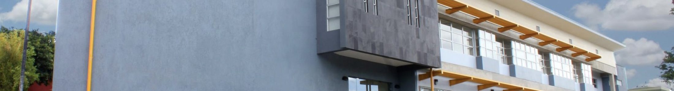 MicrosoftTeams-image (1)